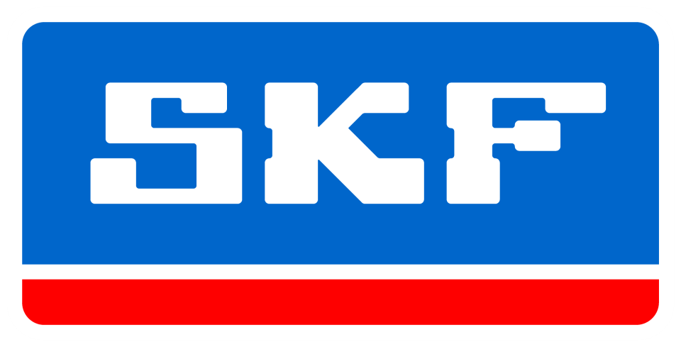 SKF Rulman